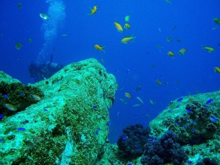 壺ヶ瀬・キビナゴ瀬