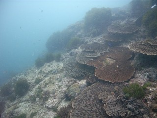 ５９９　滝ヶ原