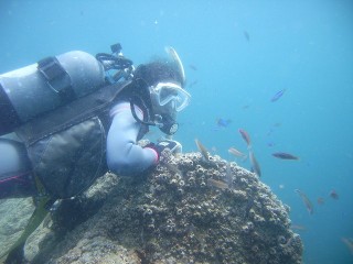 百貫瀬　愛の瀬