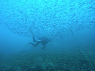 －１５ケーブ　ドンタク