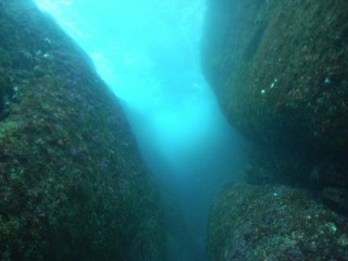 NEWポイント探し