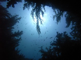 滝ヶ原ビーチ　歩いてポン