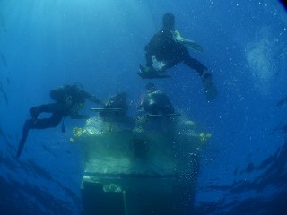 歩いてポン　ブルーツリー